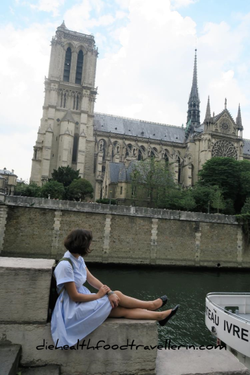 Notre Dame Fluss Aussicht