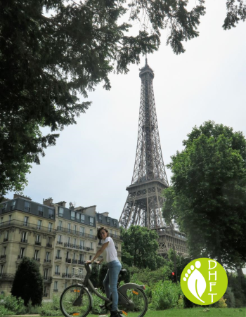 Paris Sehenswuerdigkeit Eiffel Turm Parksicht