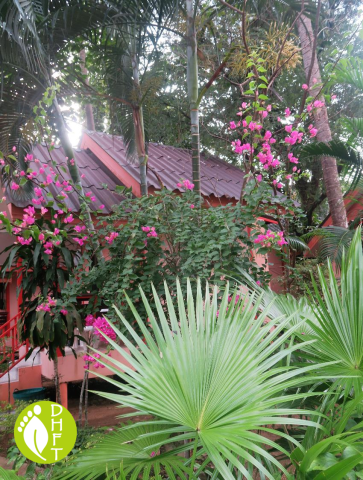 Koh Chang Sea Flower Resort Bungalows Tropisch